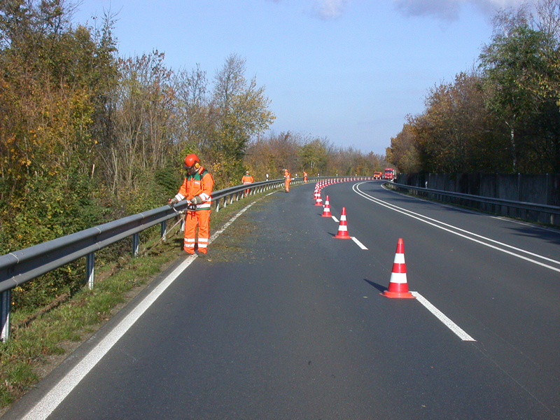 Das Bild zeigt Mitarbeiter einer Straßenmeisterei bei der Grünpflege am Straßenrand.