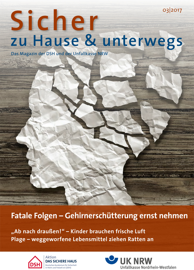 Cover des Magazins 'Sicher zu Hause & unterwegs' von der Aktion Das Sichere Haus und der Unfallkasse NRW. Das Cover zeigt zerrissenes Papier auf grauem Hintergrund. Oben der Titel des Magazins in blau. Unten Text mit Themen: Gehirnerschütterung ernst nehmen und Gesundheitsrisiken durch weggeworfene Lebensmittel. Logos der Aktion Das Sichere Haus und der Unfallkasse Nordrhein-Westfalen sind unten abgebildet.