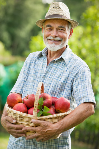 Ein älterer Mann mit weißem Bart und Strohhut steht lächelnd im Garten und hält einen Korb voller roter Äpfel. Er trägt ein kariertes Hemd. Im Hintergrund sind unscharfe grüne Bäume und Pflanzen zu sehen. Das Bild vermittelt Themen wie sicherer Obstbau und nachhaltige Erntepraktiken, die für die Präventionsarbeit der Unfallkasse NRW von Bedeutung sind.