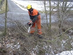 Ein Forstarbeiter trägt leuchtend orangefarbene Schutzkleidung und einen gelben Helm. Er steht auf schneebedecktem Boden und verwendet eine Motorsäge, um Äste eines Baumes zu schneiden. Im Hintergrund sieht man eine Straße und eine wintry Landschaft. Die Schutzkleidung und der Helm unterstreichen die Wichtigkeit von Arbeitsschutzmaßnahmen im Bereich Forstwirtschaft.