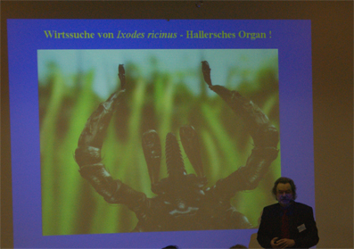 Ein Vortragender steht vor einer Leinwand, auf der ein großes Bild einer Zecke, genauer gesagt Ixodes ricinus, zu sehen ist. Der Text oben auf der Leinwand lautet: 'Wirtsuche von Ixodes ricinus - Hallersches Organ!'. Dies könnte Teil eines Seminars oder einer Präsentation zur Prävention von Zeckenbissen im Arbeitsumfeld sein, organisiert von der Unfallkasse NRW im Rahmen ihres Arbeitsschutzprogramms. Das Thema scheint sich auf die Prävention und Aufklärung über die Gefahren von Zecken und den Schutz der Arbeitnehmer vor solchen Gefahren zu konzentrieren.